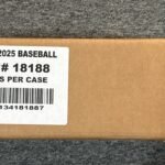 2025 Panini Boys of Summer Baseball Hobby Box (Sealed Case, 8 Box)