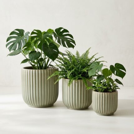 Halford Modern Fluted Ceramic Garden Planters (Set of 3 - Indoor & Outdoor)